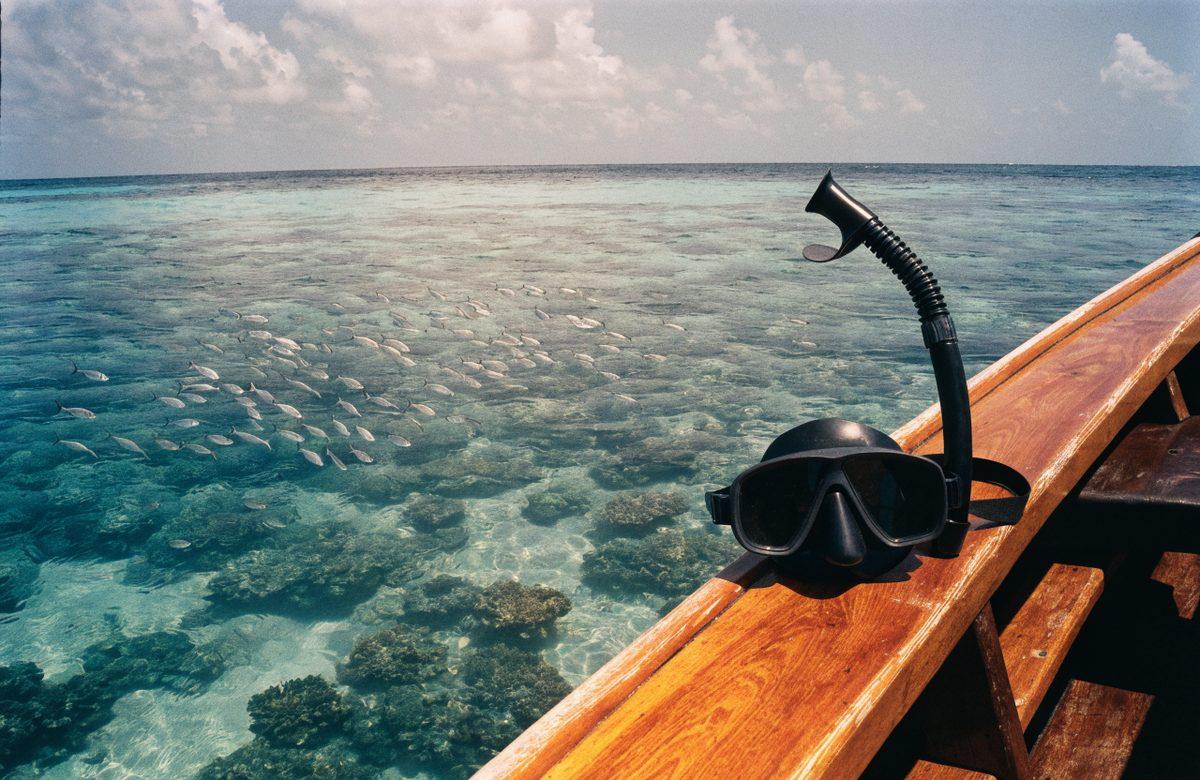 Snorkelling